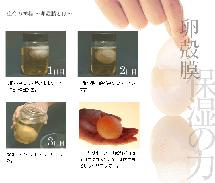 ランマン モイストヴェールジェル 50g 3個 スキンケア・基礎化粧品